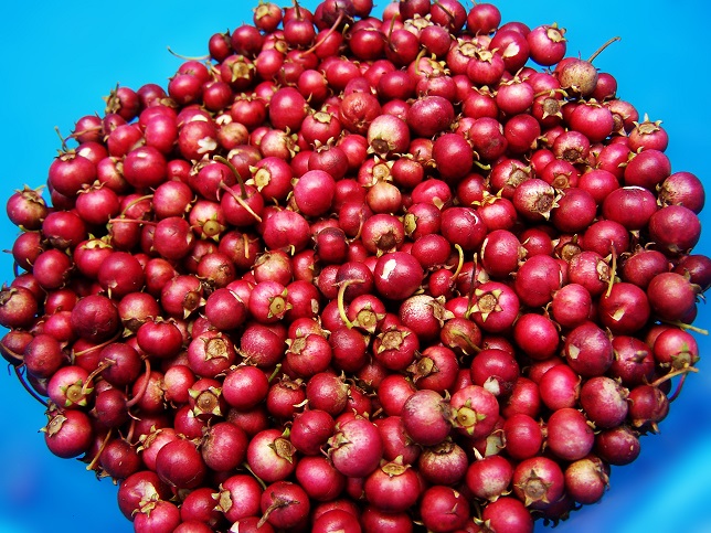 Cranberry Juice and Urinary Tract Infections