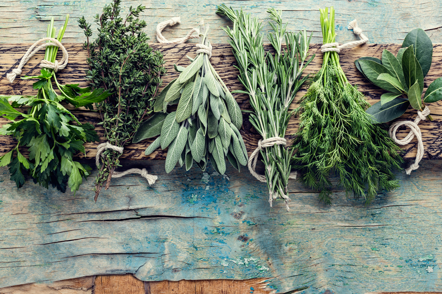 Using Herbs as Remedies